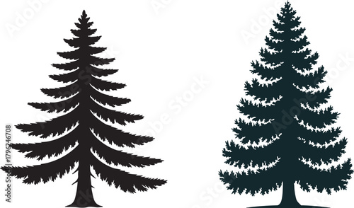 Pine tree silhouette coniferous evergreen with trunk and branches abstract isolated