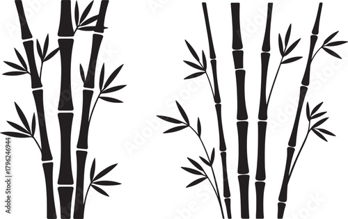 Set of bamboo stems with leaves, bamboo stalk for decoration, asia plant silhouette