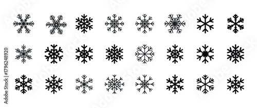 Collection of Diverse Snowflake Icons for Winter and Holiday Designs