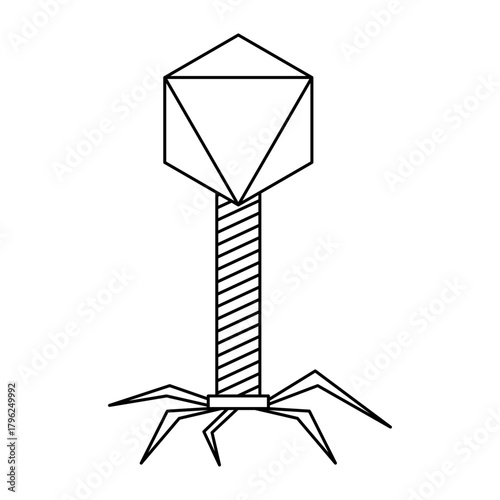 bacteriophage virus. Three dimensional render of bacteriophage viruses
