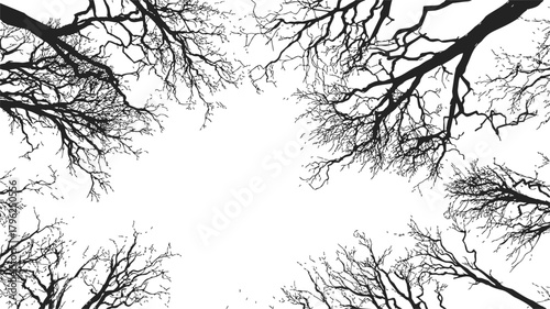 Bare tree branches sketch hand drawn from below with empty sky center — stock vector