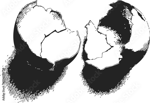 Broken eggshell sketch, hand drawn style with detailed shading — stock vector