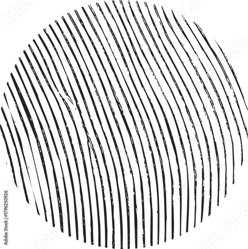 Fingerprint sketch hand drawn black lines biometric identification detail — stock vector