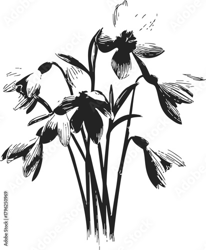 Snowdrop flowers sketch hand drawn black and white botanical bouquet — stock vector