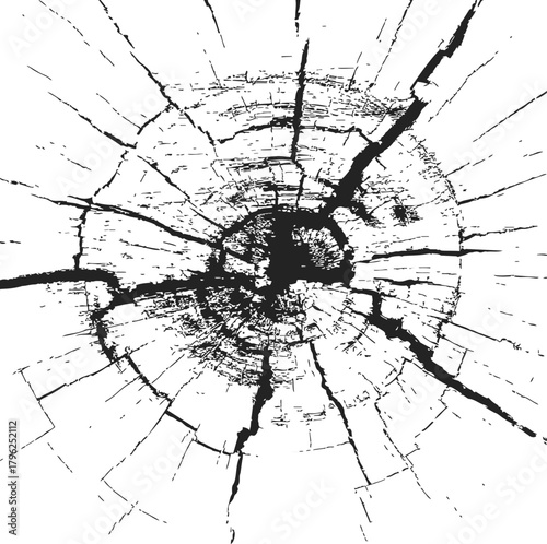 Tree rings sketch, hand drawn style showing cracked wood cross section — stock vector