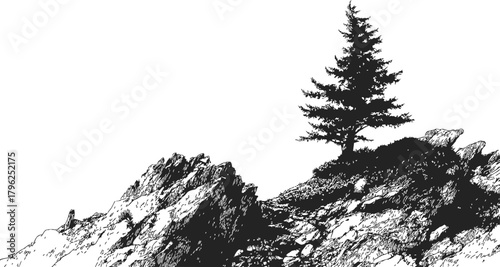 Pine tree sketch, hand drawn on rocky mountain slope landscape — stock vector