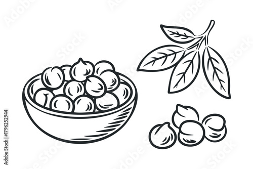 Hand Drawn Bowl of Chickpeas With Leaves