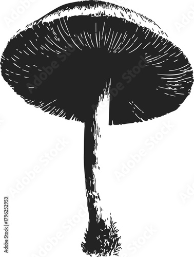 Mushroom sketch hand drawn style with detailed cap and stem — stock vector