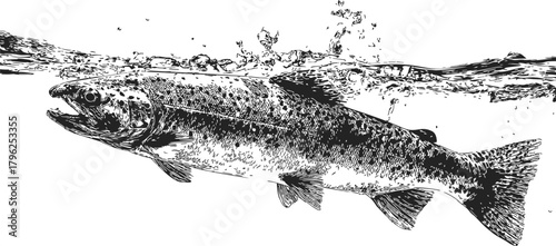 Trout fish sketch, hand drawn style, swimming underwater with splashing surface — stock vector