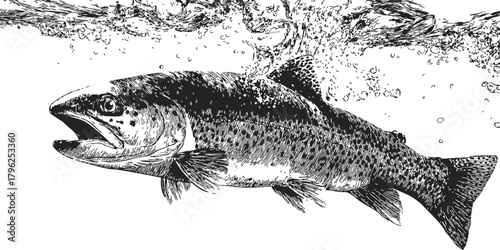 Trout fish sketch, hand drawn style underwater with bubbles — stock vector