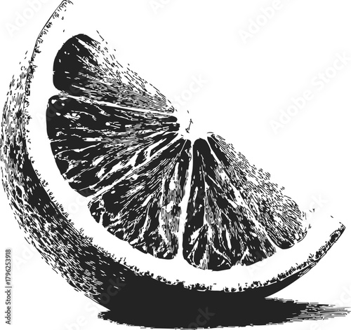 Lemon wedge sketch hand drawn citrus fruit slice with detailed texture — stock vector