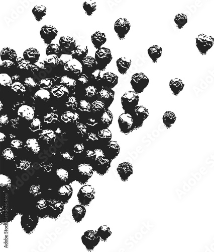 Black peppercorns sketch hand drawn style scattered on white background — stock vector