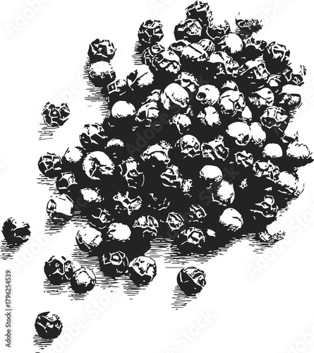 Black peppercorns sketch hand drawn pile isolated on white background — stock vector