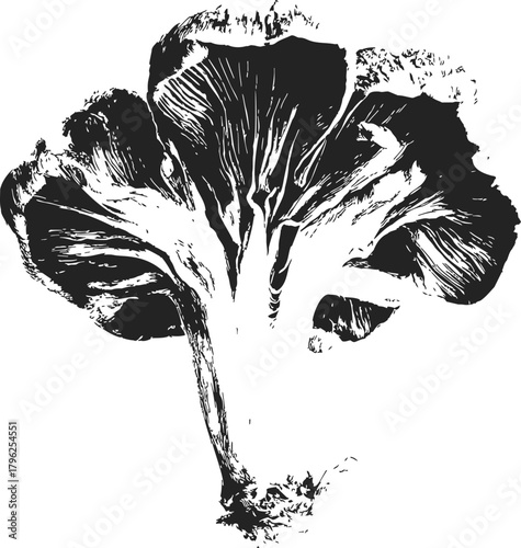 Mushroom sketch hand drawn black and white botanical illustration — stock vector