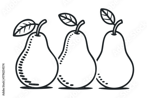 Three Pears with Leaves Drawing