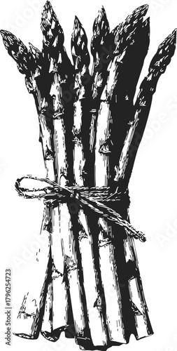 black and white asparagus tied with twine clip art preview