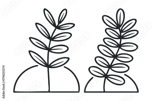 Two outlined plant stems with oval leaves