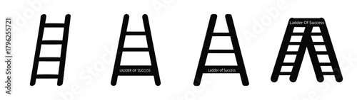 Four different types of ladders illustrating progress and ascent business concepts