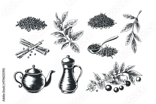 Botanical drawing of tea ingredients and brewing tools