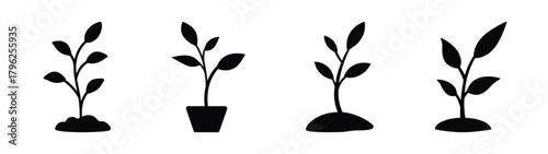 Four silhouette seedlings growing from soil and pot diverse plant stages symbolizing growth