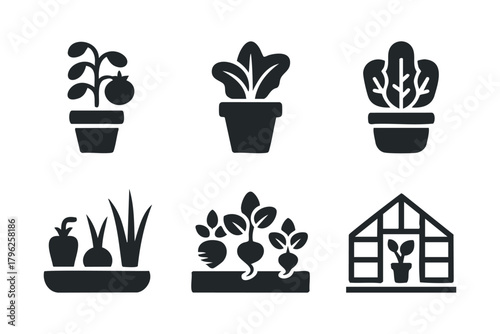 Garden plants and greenhouse icons