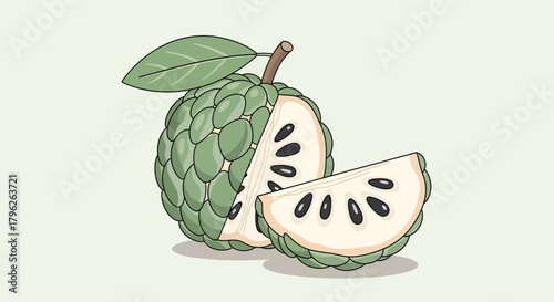 Exotic Fruit Illustration Showcasing Custard Apple Details and Artistic Presentation