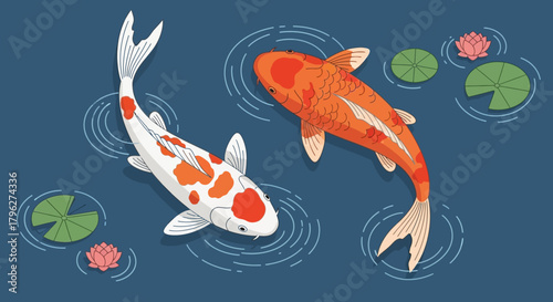 Elegant koi fish illustration swimming gracefully in a serene pond featuring lily pads