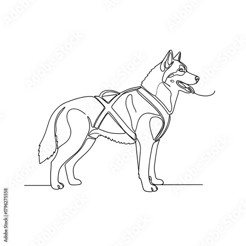 Siberian husky in harness line drawing representing winter strength