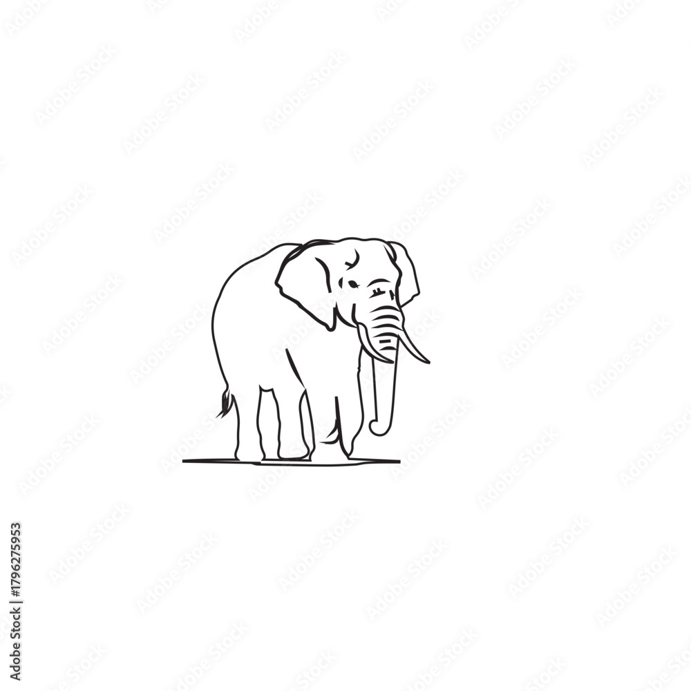 Obraz premium Elegant Elephant Illustration A Majestic Creature in Simple Lines.
