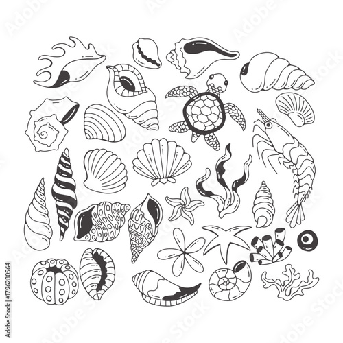 Hand-Drawn Ocean Life and Seashells Collection