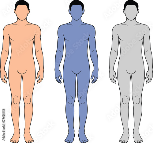 Human body silhouette illustration set showing full male anatomy outline in different colors, medical reference figure for educational and infographic use