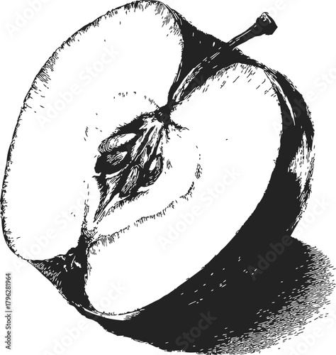 Apple half sketch, hand drawn fruit cross section with seeds and stem — stock vector