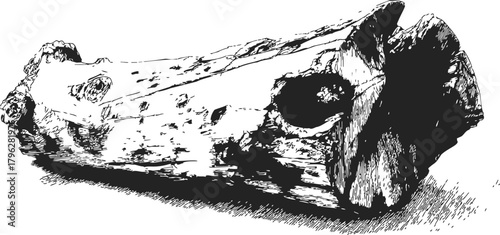 Wood log, hand drawn sketch with detailed bark texture and knots — stock vector