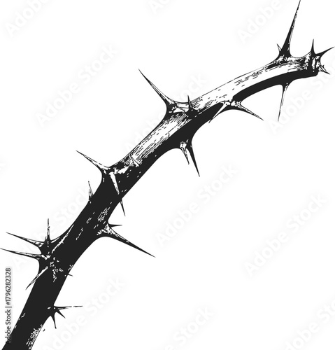Thorn branch sketch, hand drawn style with sharp spines on white background — stock vector