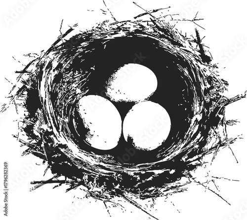 Bird nest sketch hand drawn with three eggs in rustic twig style — stock vector