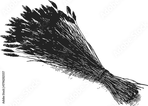 Wheat bundle sketch hand drawn tied stalks rustic agricultural harvest — stock vector