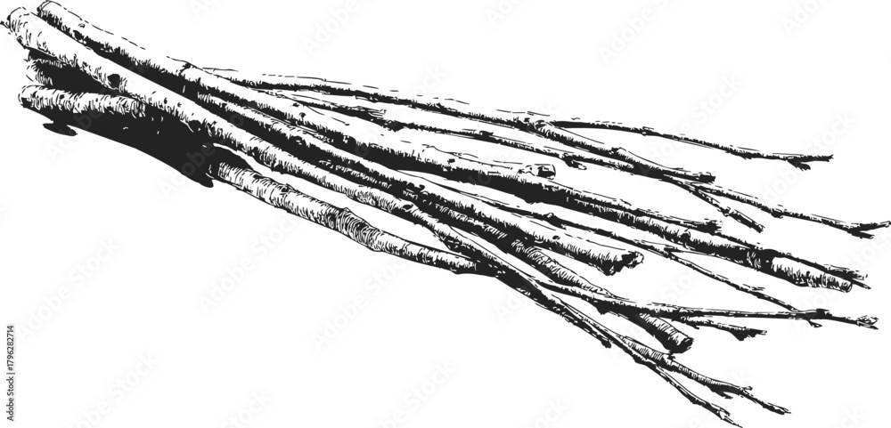 Fototapeta premium Bundle of sticks sketch hand drawn black and white firewood illustration — stock vector