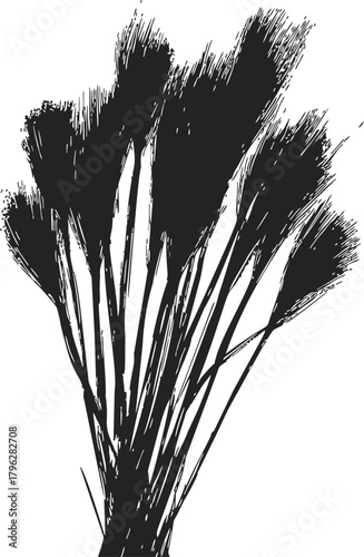 Reed grass sketch, hand drawn silhouette of wild marsh plants isolated — stock vector