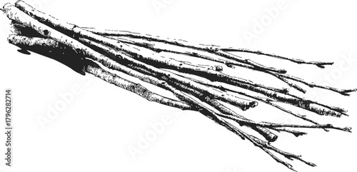 Bundle of sticks sketch hand drawn black and white firewood illustration — stock vector