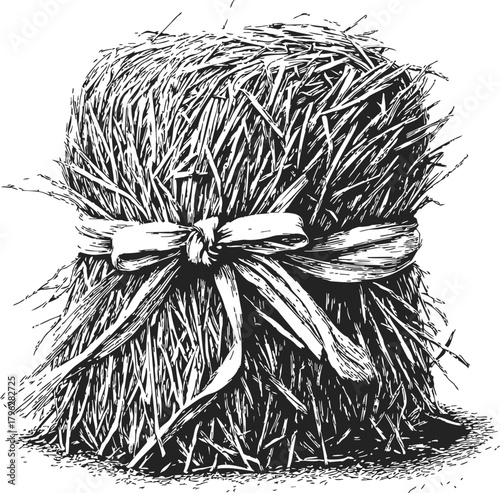 Hay bale sketch, hand drawn bundle with ribbon, rustic agricultural scene — stock vector