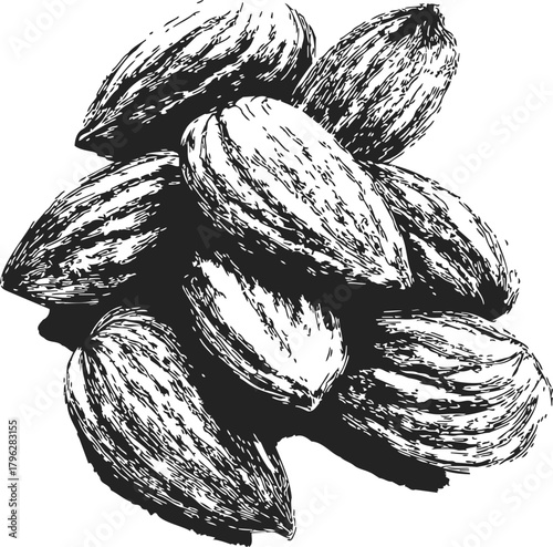 Almond nuts sketch, hand drawn vector, detailed pile of whole nuts — stock vector