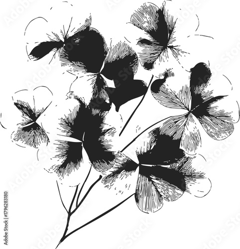 Flowers sketch hand drawn black and white botanical bouquet with delicate shading — stock vector