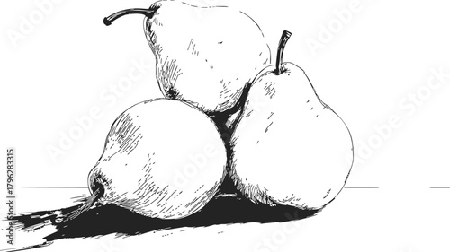 Pears sketch hand drawn trio of whole fruits with stems and shadow — stock vector