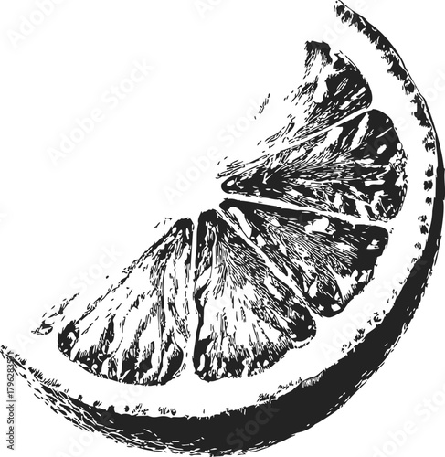 Lemon slice sketch hand drawn black and white detailed citrus fruit illustration — stock vector