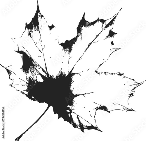 Maple leaf sketch hand drawn silhouette with rough textured details — stock vector