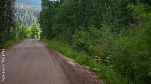 Driving through Kebler Pass, Crested Butte, Colorado on a summer afternoon at sunset.  Views of aspen forest and wildflowers.