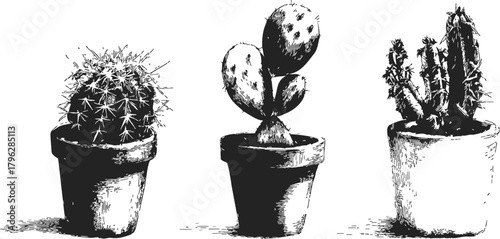 Cactus plants sketch hand drawn in pots, black and white line art — stock vector