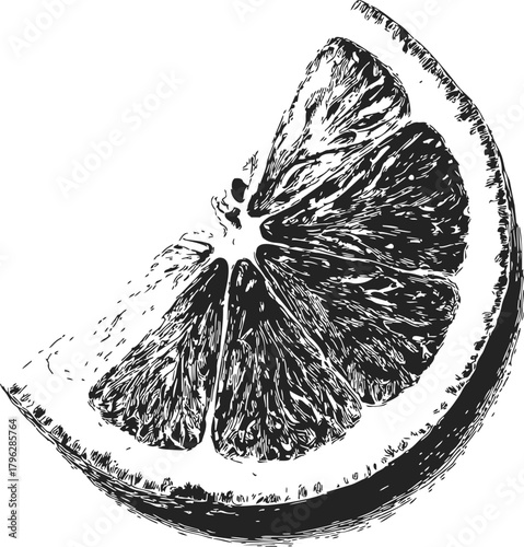 Orange slice sketch, hand drawn citrus fruit wedge with detailed texture — stock vector