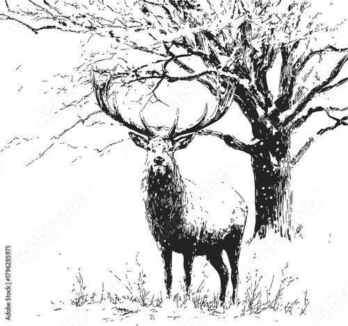 Deer sketch, hand drawn style, standing in front of bare tree in winter landscape — stock vector