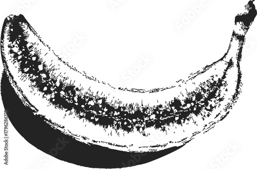 Banana sketch hand drawn style with textured shading on white background — stock vector